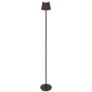 Mindy 3w CCT LED Rechargeable Rusty Brown Floor Lamp