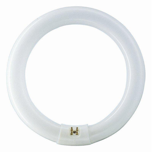40w Cool White Circular Fluro T8 Tube - Lighting Superstore