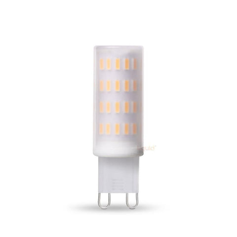 G9 2w 12-24v 2700k Dim AC/DC LED Globe