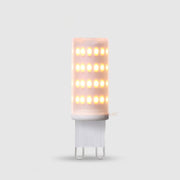 G9 2w 12-24v 2700k Dim AC/DC LED Globe