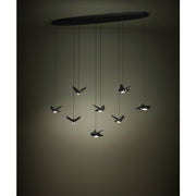 Paratebueno 8x3w LED 3000k Oblong Pendant Nickel Nero