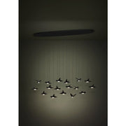 Paratebueno 17x3w LED 3000k Oblong Pendant Nickel Nero