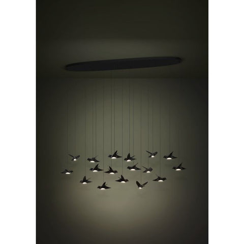 Paratebueno 17x3w LED 3000k Oblong Pendant Nickel Nero