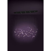 Adrados 8 Light LED 3000K Black and Glass Butterfly Dimmable Bar Pendant