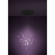 Adrados 6 Light LED 3000K Black and Glass Butterfly Dimmable Cluster Pendant