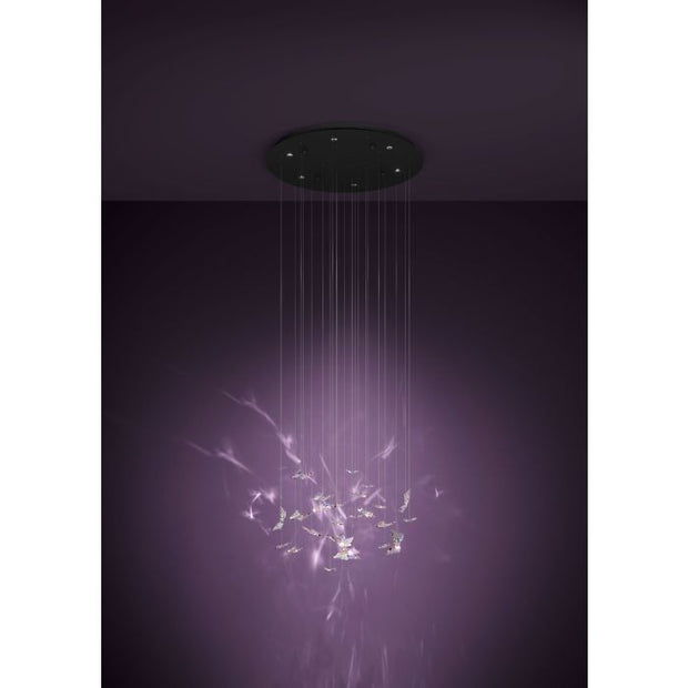 Adrados 6 Light LED 3000K Black and Glass Butterfly Dimmable Cluster Pendant