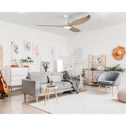 Noosa 60 DC Ceiling Fan White with Blackbutt and LED Light