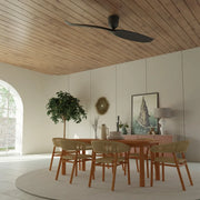 Aeratron Plus AE2+ Two Blade 43 Black DC Fan