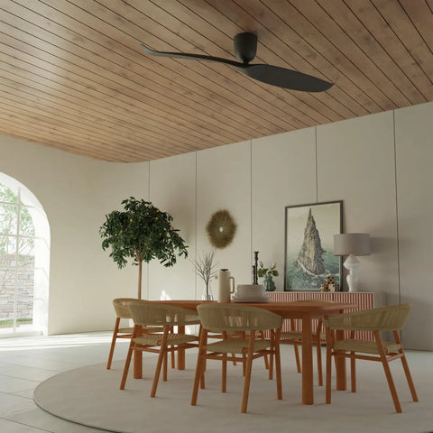 Aeratron Plus AE2+ Two Blade 43 Black DC Fan