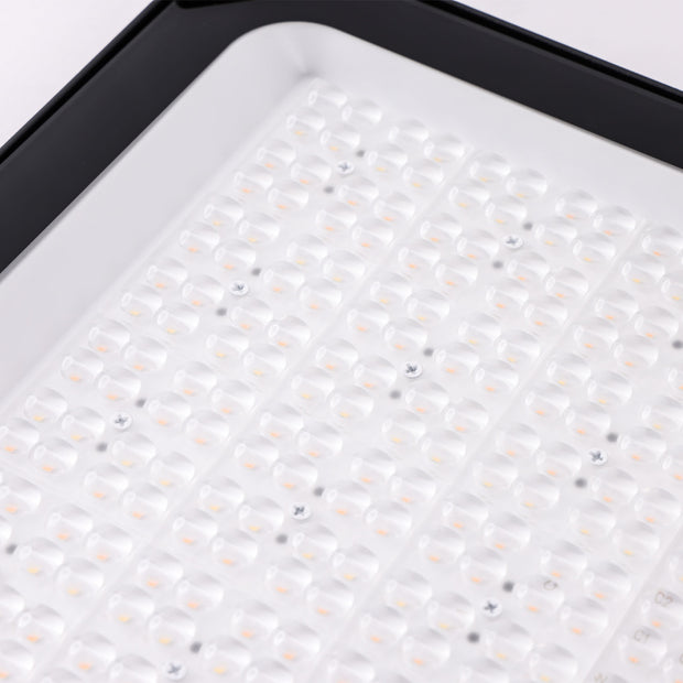 Tribe 300/225/150w LED 3000k/4000k Black IP66 Flood Light