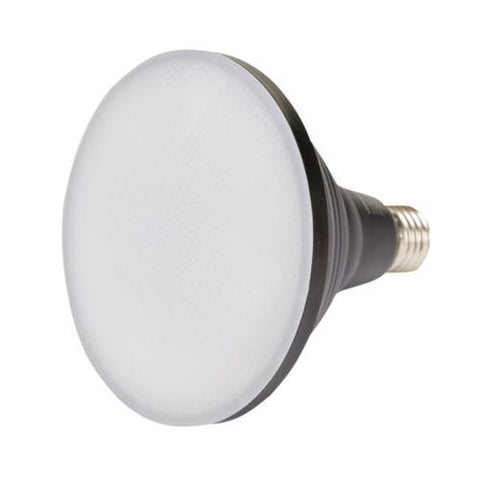 HPM PAR38 8W 800lm Cool White Globe Black