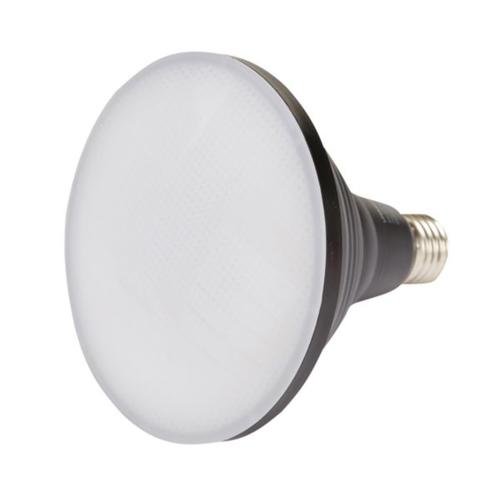 HPM PAR38 8W 800lm Cool White Globe Black
