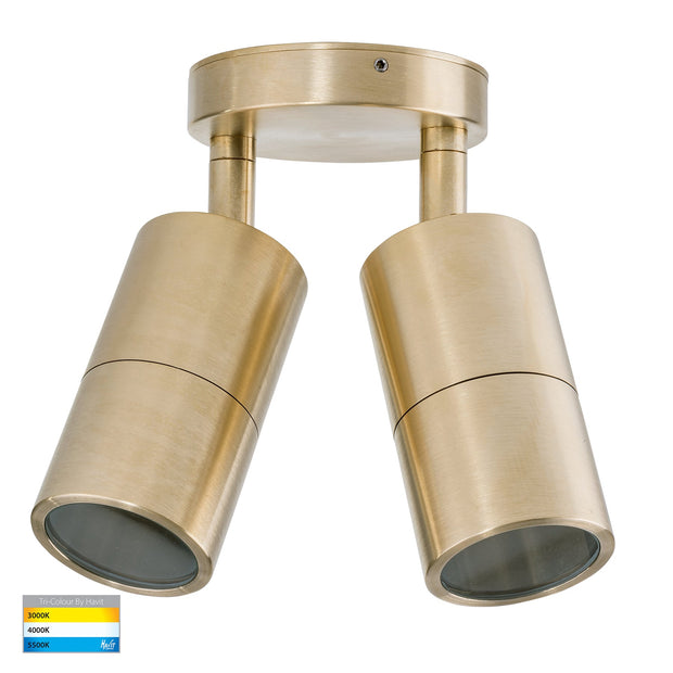 Tivah Double Adjustable Wall Pillar Light Brass with 9in1 CCT GU10