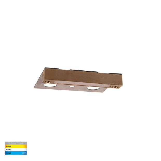 Preston 12V 2.5w 3CCT Coping Light Brass