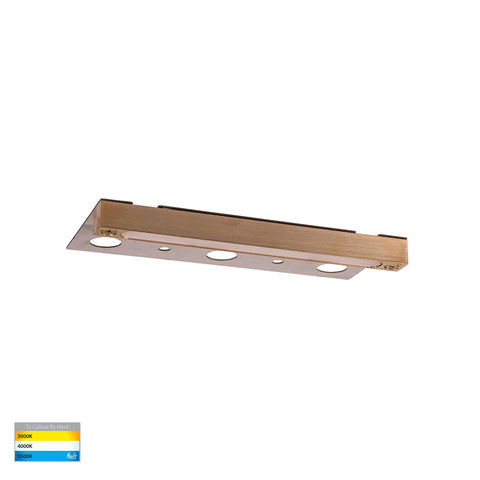 Preston 12V 5w 3CCT Coping Light Brass
