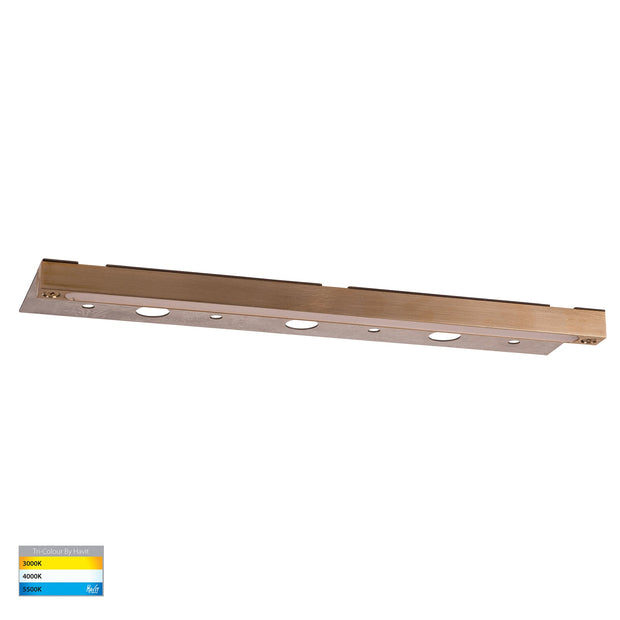 Preston 12V 7.5w 3CCT Coping Light Brass