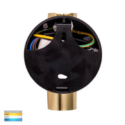 Lesen 5w CCT LED Dimmable Single Spotlight Black and Brass
