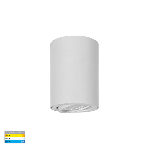 Nella 240v 7w 60° 3CCT Adjustable White Surface Mount Downlight
