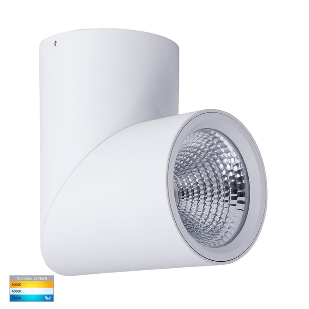 Nella 240v 24w 60° 3CCT Rotatable White Surface Mount Downlight
