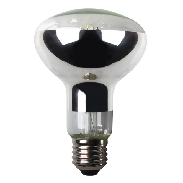 7w 6000K Dimmable LED R80 Globe