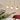 Contina 3lt Bar Pendant Brass and Opal