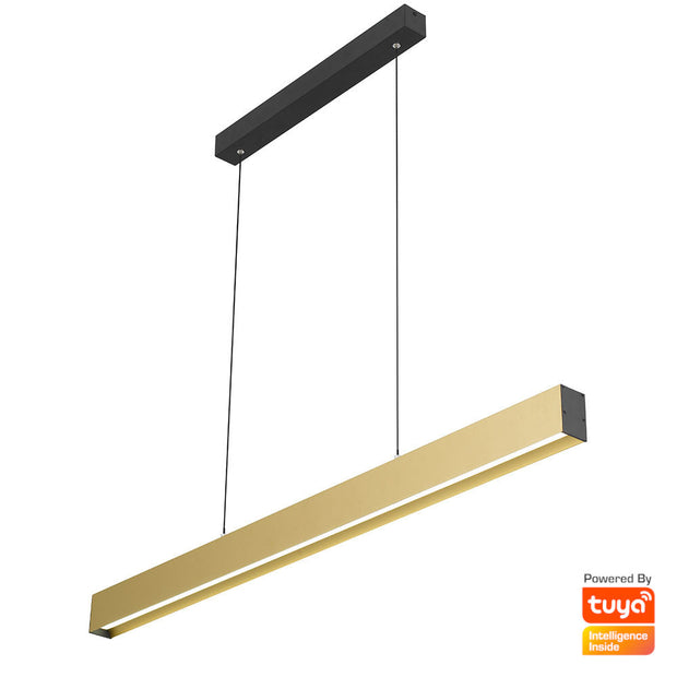 Navaro 40w CCT LED Smart Pendant Black and Gold