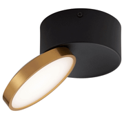 Netra 15w Tilt CCT LED Surface Mounted Downlight Black and Gold