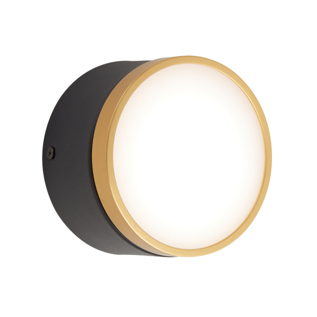 Netra 15w Tilt CCT LED Surface Mounted Downlight Black and Gold