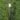 Wanaka Black with Mirror Smoke Glass 80cm IP65 E27 Bollard Light