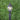 HIGHGATE Post Top Black 60mm Head Only