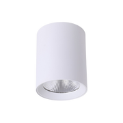 Paco 7W 80mm dia Tricolour LED Surface Mounted Downlight White