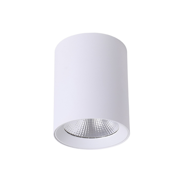 Paco 7W 80mm dia Tricolour LED Surface Mounted Downlight White