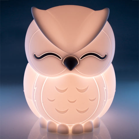 Lil Dreamers Owl Soft Touch LED Night Light