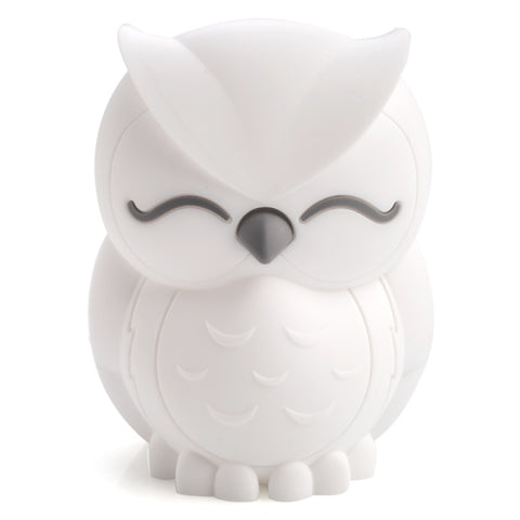 Lil Dreamers Owl Soft Touch LED Night Light