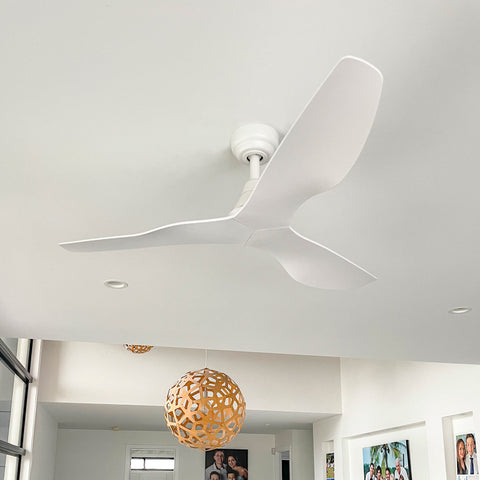 Simplicity Fan DC 52 Inch Matt White