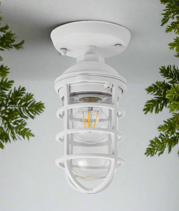 Villaku IP44 Wall/Ceiling Light White Cage with Glass