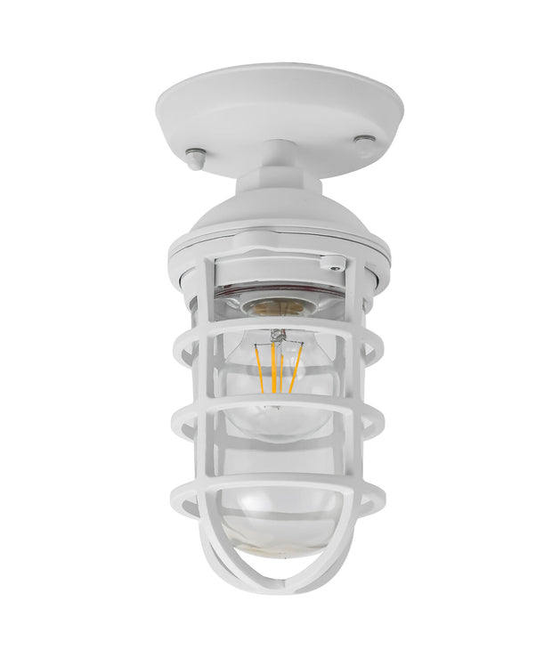 Villaku IP44 Wall/Ceiling Light White Cage with Glass