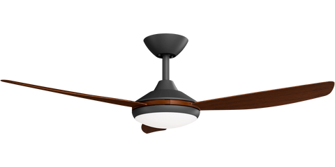 Condor 48 DC Ceiling Fan Black with Koa Blades and LED Light