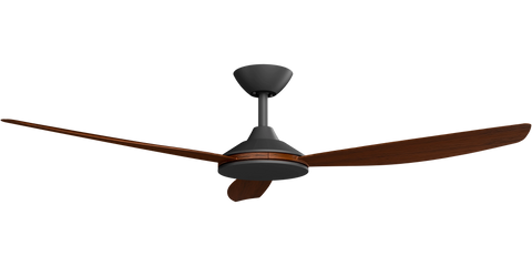 Condor 56 DC Ceiling Fan Black with Koa Blades