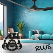 Raven RWS 46 DC Ceiling Fan Black