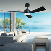 Bronte 52 DC Ceiling Fan Black with LED Light
