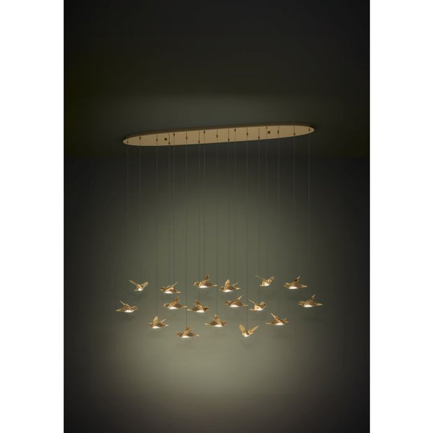 Paratebueno 17x3w LED 3000k Oblong Pendant Brass