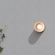 Gull 5w LED CCT Brass/ Frosted Arylic 138mm Wall Light