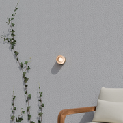Gull 5w LED CCT Brass/ Frosted Arylic 138mm Wall Light