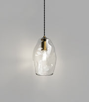 Organic Pendant Light Old Brass with Medium Clear Mouth-Blown Glass
