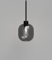 Parlour Lite Curve Pendant Light Black with Smoked Glass Shade