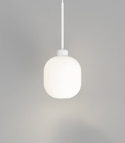 Parlour Lite Curve Pendant Light White with Acid Washed White Glass Shade