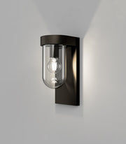 Tuva Outdoor Wall Light Old Bronze with Clear Rounded Glass Shade