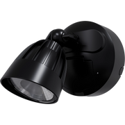 Nighthawk 15W CCT LED Single Exterior IP65 Spotlight with Sensor Black