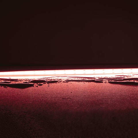 PLEX-VIVID 15w/m Red COB LED Strip 24V IP67 PER METER